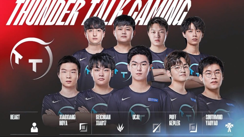 这不仅展示 这不仅展示