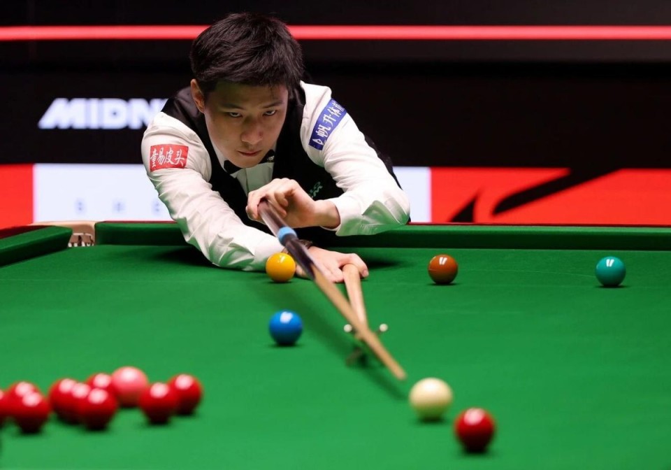 情感纽带是 情感纽带是